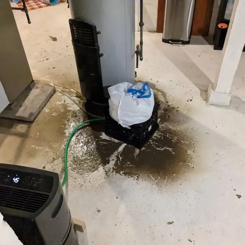 Sewage Backup Cleanup Service in Saint Francois County, MO